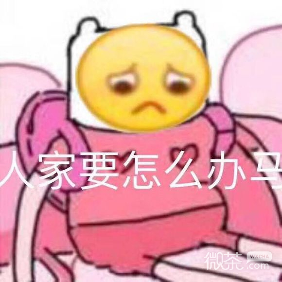 知道了牛逼微信恶搞傻屌斗图表情包