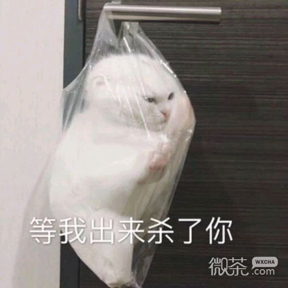 我可以微信恶搞傻屌群聊杂图斗图表情包