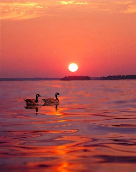 唯美意境的微信夕阳图片