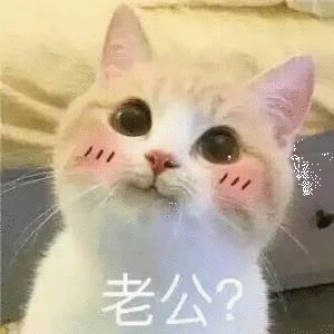 孤独微信恶搞群聊斗图表情包