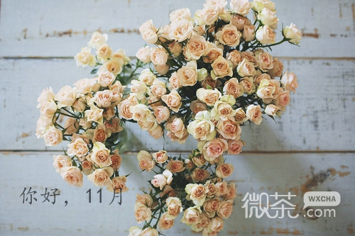 你好十一月微信唯美图片