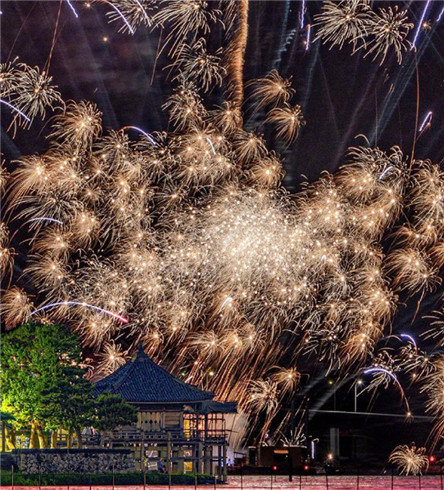 唯美好看的微信烟花图片