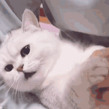 孤独微信恶搞群聊斗图表情包