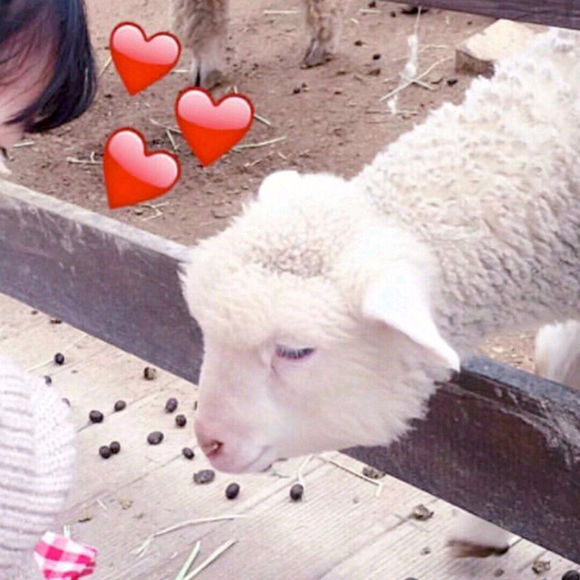 可爱搞怪情侣头像