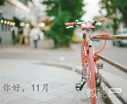 你好十一月微信唯美图片