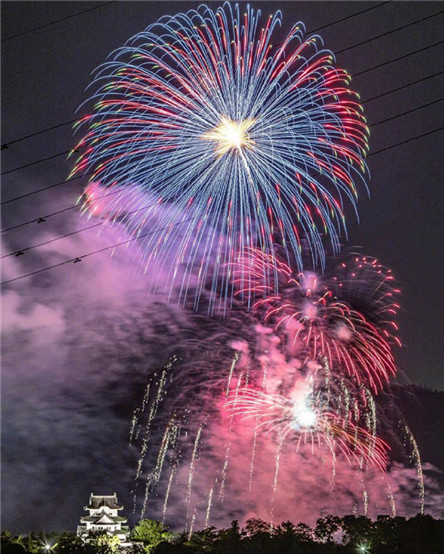 唯美好看的微信烟花图片