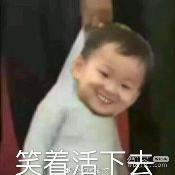 微信近期斗图恶搞表情包2019/10/25