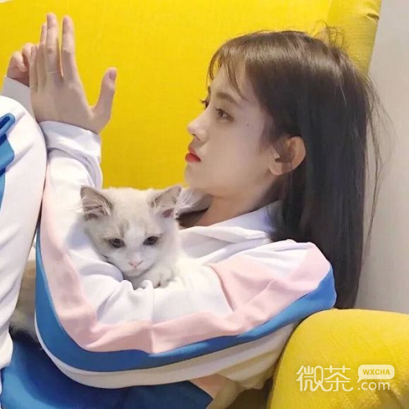 清新经典高颜值女生头像