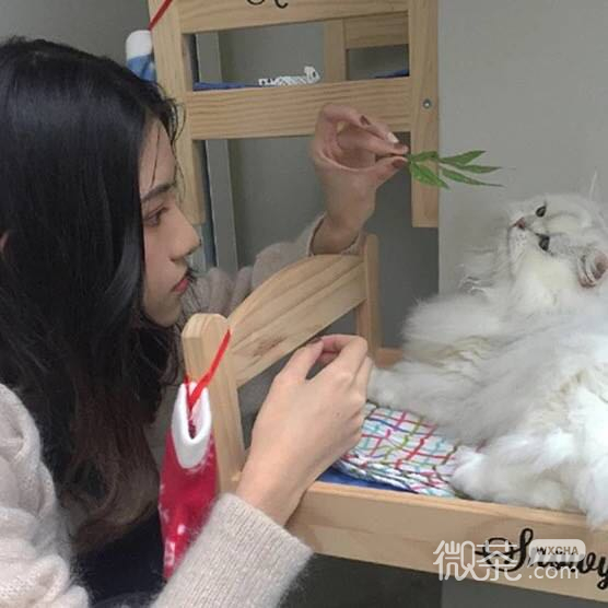 微信清新性感长发女生头像