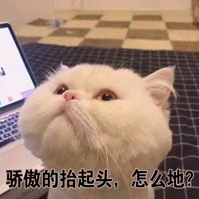 微醺微信恶搞斗图表情包