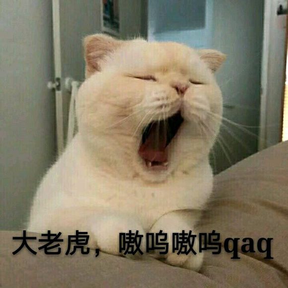 太优秀了微信恶搞群聊斗图表情包