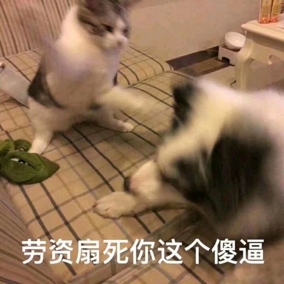 微醺微信恶搞斗图表情包