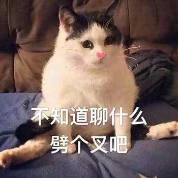 微醺微信恶搞斗图表情包