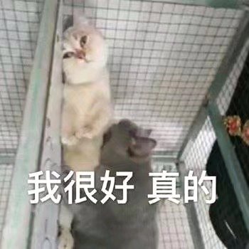 微醺微信恶搞斗图表情包