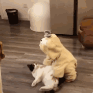 太优秀了微信恶搞群聊斗图表情包