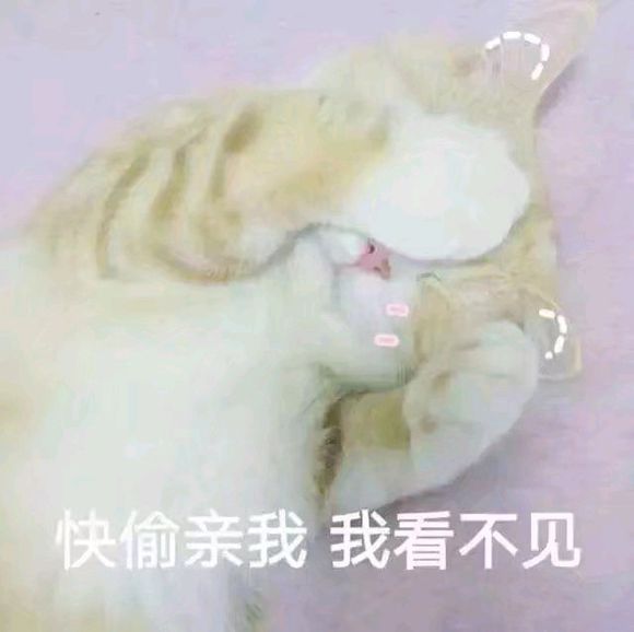 微醺微信恶搞斗图表情包
