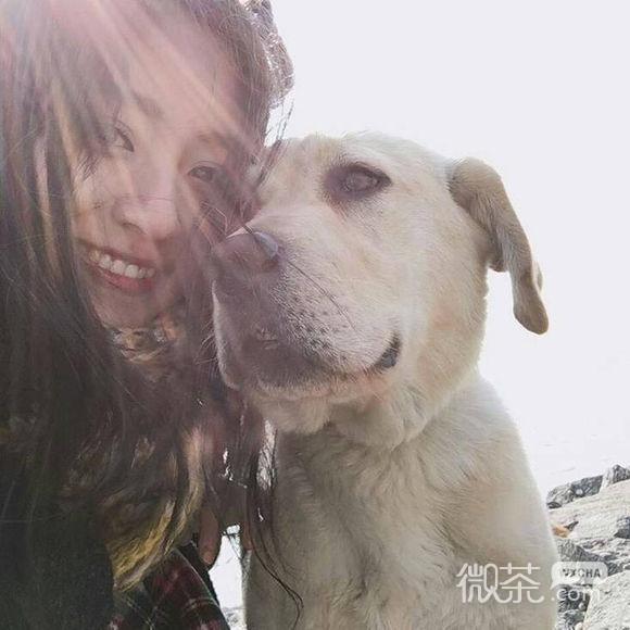 小清新文艺女生头像