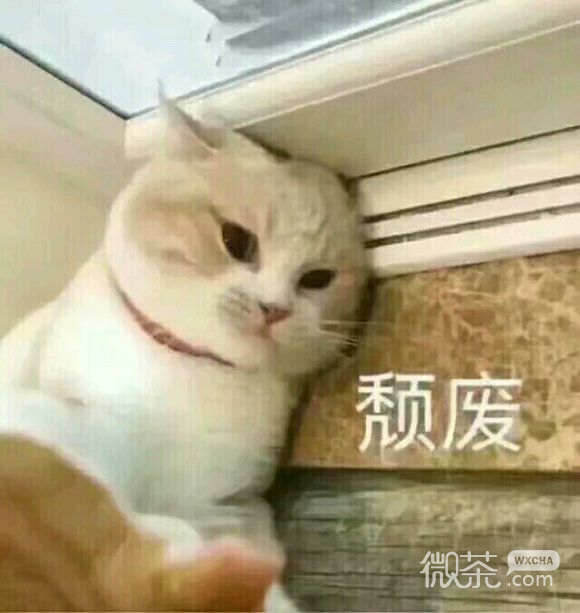 微信近期斗图恶搞表情包2019/10/29