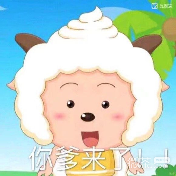 微信近期斗图恶搞表情包2019/10/29