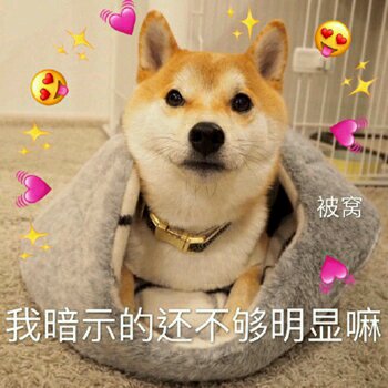 你想都别想微信恶搞斗图表情包