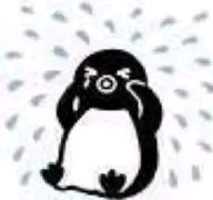 微信近期斗图恶搞表情包2019/10/29