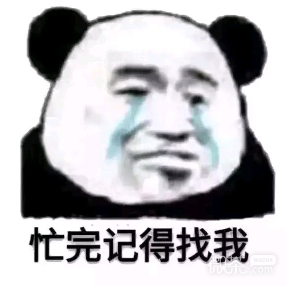 微信近期斗图恶搞表情包2019/10/29