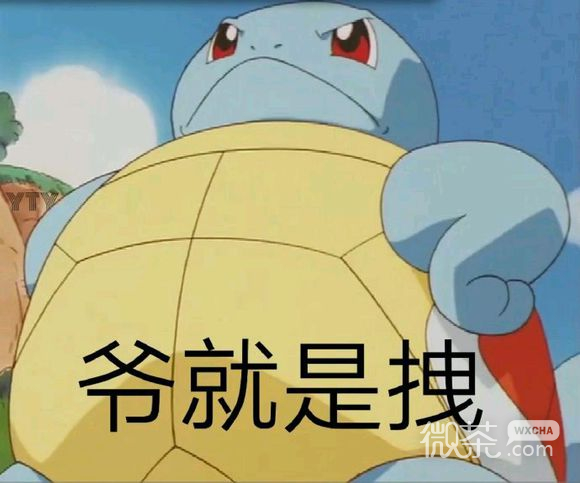 微信近期斗图恶搞表情包2019/10/29