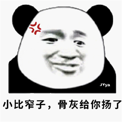 熊猫头把你骨灰扬了微信表情包