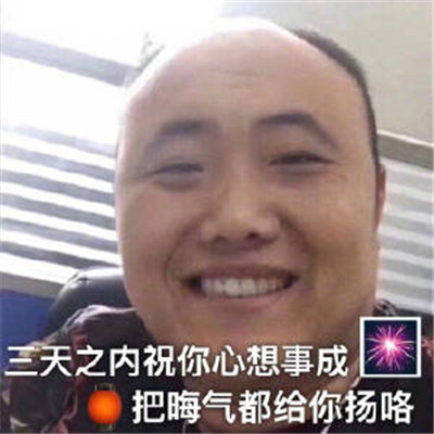 熊猫头把你骨灰扬了微信表情包