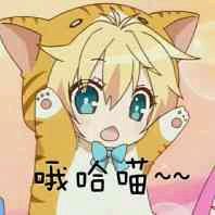 微信近期斗图恶搞表情包2019/10/31（二）