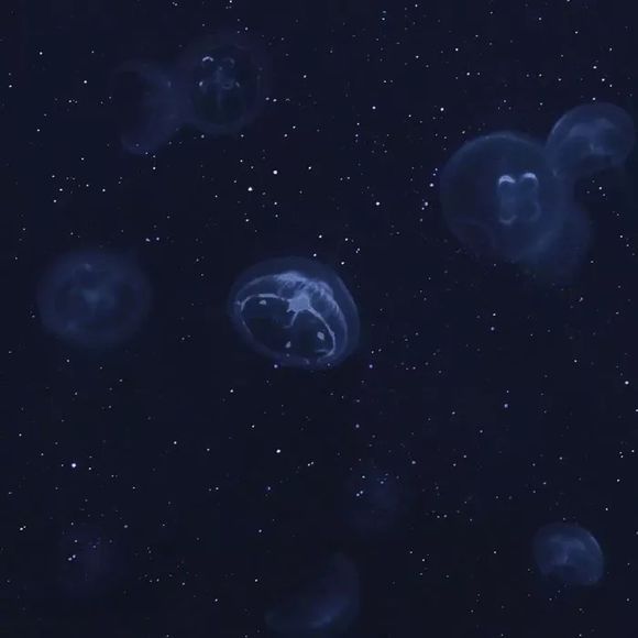 唯美烟火朋友圈配图