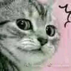 微信近期斗图恶搞表情包2019/10/31（二）