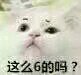 妙啊微信恶搞斗图表情包