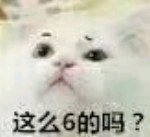 微信近期斗图恶搞表情包2019/10/31（二）