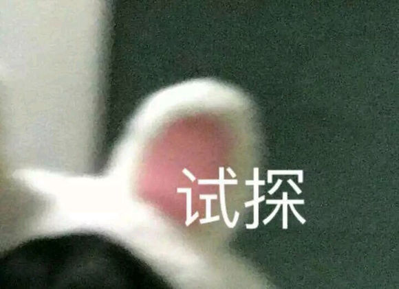 微信近期斗图恶搞表情包2019/10/31(二)