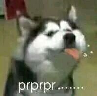 微信近期斗图恶搞表情包2019/10/31（二）