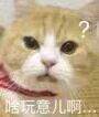 微信逗比熊猫头怼人表情包