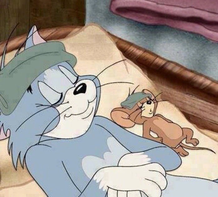 猫和老鼠睡觉表情