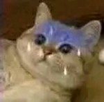 微信近期斗图恶搞表情包2019/10/31（二）