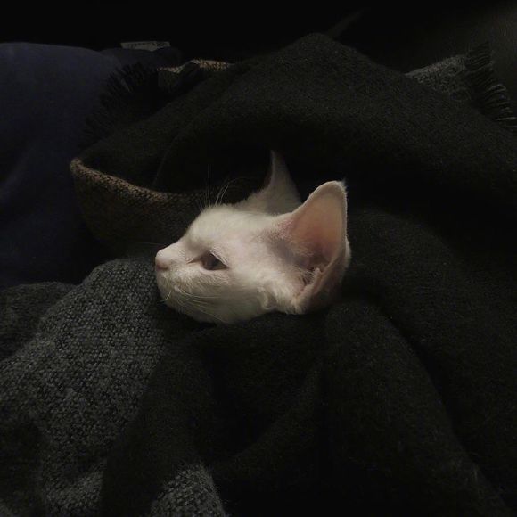 唯美烟火朋友圈配图