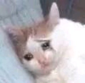 微信近期斗图恶搞表情包2019/10/31（二）