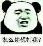 微信逗比熊猫头怼人表情包