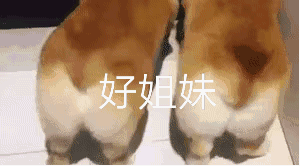 可爱恶搞群聊斗图表情包