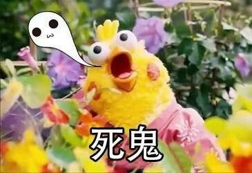 万圣节本色出演系列微信表情包