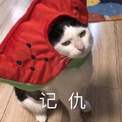趴会儿微信恶搞斗图表情包