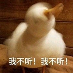 微信近期斗图恶搞表情包2019/11/4