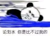 微信近期斗图恶搞表情包2019/11/4