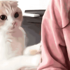 威胁微信恶搞斗图表情包