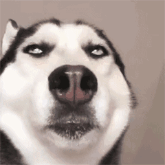 威胁微信恶搞斗图表情包