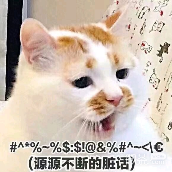 搞怪小人斗图表情包
